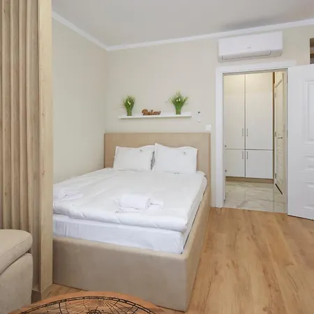 Bellicity Complex Ravda